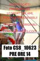 CS8_10623-PRE-ORE-14