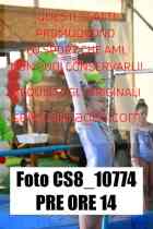 CS8_10774-PRE-ORE-14