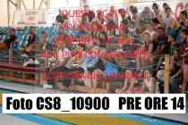 CS8_10900-PRE-ORE-14