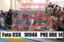 CS8_10948-PRE-ORE-14