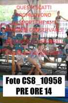 CS8_10958-PRE-ORE-14