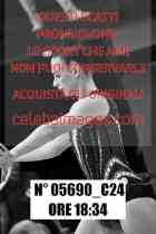 05690_C24