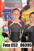 CS2_06395