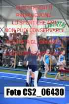 CS2_06430