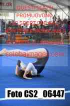 CS2_06447