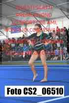 CS2_06510