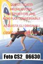 CS2_06630