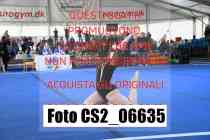 CS2_06635