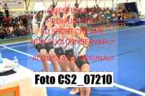 CS2_07210