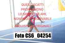 CS6_04254