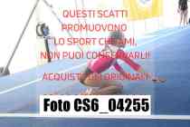 CS6_04255