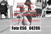 CS6_04286