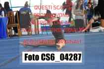 CS6_04287