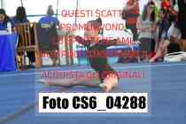 CS6_04288