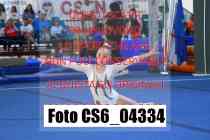 CS6_04334