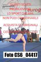 CS6_04417