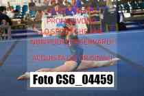 CS6_04459