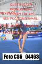 CS6_04463
