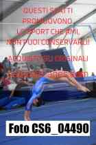 CS6_04490