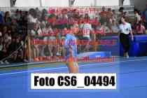 CS6_04494