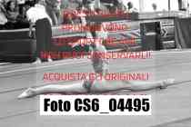 CS6_04495