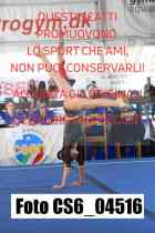CS6_04516