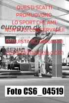 CS6_04519