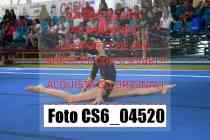 CS6_04520