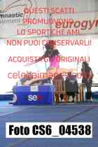 CS6_04538