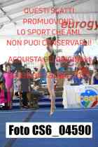 CS6_04590