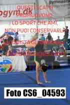 CS6_04593