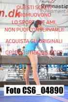 CS6_04890