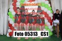 05313_CS1