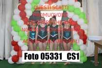 05331_CS1