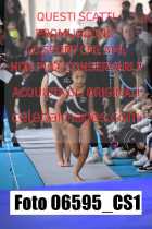 1_06595_CS1