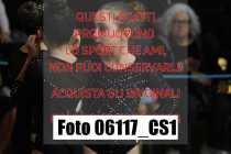2_06117_CS1