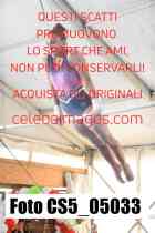 CS5_05033-