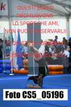CS5_05196-