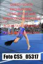 CS5_05317-