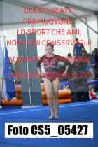 CS5_05427-