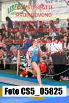 CS5_05825-