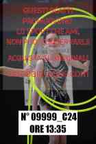 09999_C24