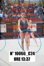 10066_C24