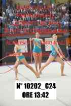 10202_C24