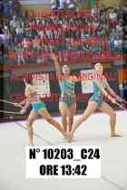 10203_C24