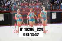 10206_C24