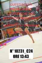 10231_C24