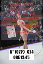 10279_C24