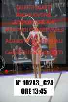 10283_C24