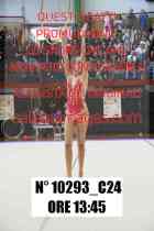 10293_C24